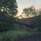#101-•-debarker-paddle-conveyor-image-9