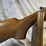 #4868-•-american-arms-silver-i-12-ga.-over-under-shotgun,-sn:-a65284-image-7