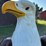 case-eagle-statue-image-12
