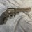 #4776-•-colt-anaconda-44-mag-revolver,-sn:-ac112341-image-3