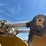 2022-caterpillar-980-image-22