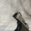 #4788-•-taurus-g2s-9mm-luger-pistol,-sn:-ade322327-image-13