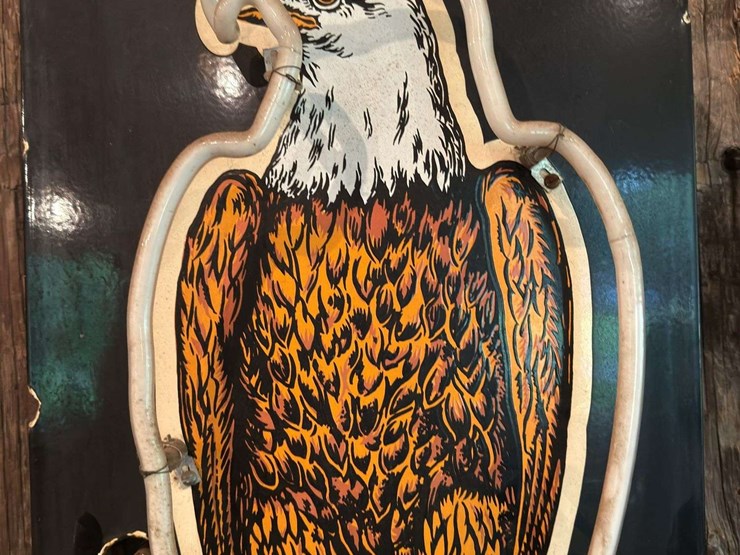 case-eagle-neon---description-update-image-8