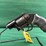 taurus-protector-poly-38-spl-revolver-image-8