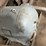 #110-•-electric-motor-for-carriage-image-5