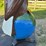 case-eagle-statue-image-6