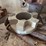 tool-house-with-contents-image-8