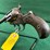 colt-mdl-m-1877-.38-cal-lightning-revolver-image-3