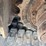 wacker-neuson-ez36-image-20