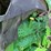 john-deere-8r-310-image-16