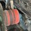 #104-•-tyrone-berry-carriage-drive-and-feed-image-68