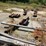 #123-•-lumber-rollers-image-5