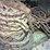#158-•-deck-chain-image-6