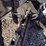 23-bobcat-lt113-trencher-image-8