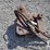 helac-coupler-image-1