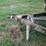 #29441-•-big-tex-10pi-18'-t/a-steel-utility-trailer-image-14