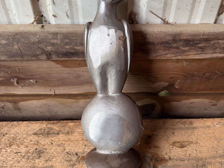 case-eagle-statue-image-4