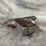 #4782-•-original-colt-government-model-.45-acp-auto-pistol,-sn:-gv066764-image-5