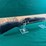 new---weatherby-vanguard-30-06-image-2
