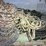 #158-•-deck-chain-image-2