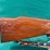 remington-mdl.700-bdl-30-06sprg-rifle-image-2