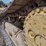 2015-caterpillar-d6n-xl-image-24