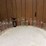 (16)-dairy-bottles-image-1