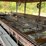 #122-•-lumber-green-chain-image-8
