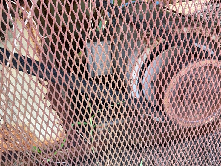 #136-•-carolina-dust-blower-image-13