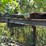 #129a-•-lumber-dip-tank-image-19