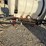 fimco-55-gallon-3ph-boom-sprayer-w/wand-image-4