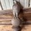 case-eagle-statue-image-3