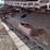 2011-komatsu-pc228us-lc-8-image-35