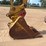2016-caterpillar-313fl-image-9