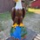 case-eagle-statue-image-13