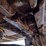 2017-caterpillar-308e2-cr-image-36