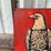 case-eagle-sign-image-2
