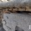 22-toro-dingo-tx-1300-skid-loader-9530-image-22