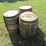 #29432-•-lot-of-(3)-whiskey-barrels-image-1