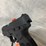 #4803-•-taurus-g3c-9mm-luger-pistol,-sn:-adg148570-image-18