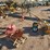hydraulic-augers-image-5