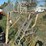 2-ladder-tree-stands-image-2