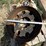 wacker-neuson-(parts)-wide-drums-image-2