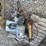 air-compressor-&-hydraulic-cylinder-pump-image-3