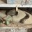 #150-•-parts-shelf-and-contents-image-35