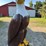case-eagle-statue-image-10