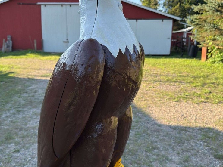 case-eagle-statue-image-10