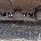komatsu-pc290-lc-10-image-38