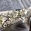 #4846-•-ruger-pc-carbine-9mm-luger-semi-auto-rifle,-sn:-911-07348-image-6