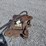 helac-coupler-image-3